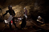 世界最古の洞窟壁画、ネアンデルタール人の複雑な感性示す