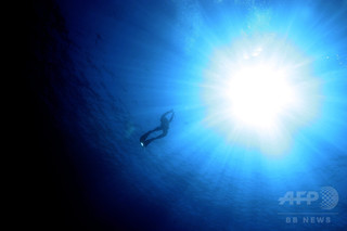 海洋プランクトンに未知の多様性、大規模国際調査で判明 海洋プランクトンに未知の多様性、大規模国際調査で判明