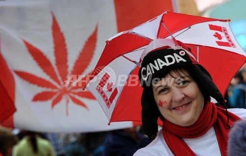 大麻の長期使用、精神病に関連 米専門誌 大麻の長期使用、精神病に関連 米専門誌
