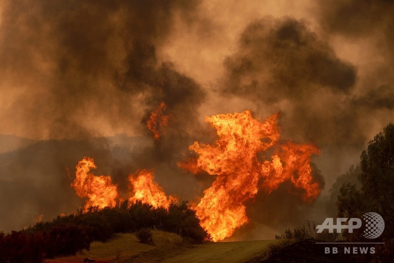 米カリフォルニアの火災、州史上最大規模に LAと同じ面積が焼失 米カリフォルニアの火災、州史上最大規模に LAと同じ面積が焼失