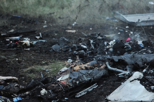 ウクライナでマレーシア航空機撃墜か、295人全員死亡の情報