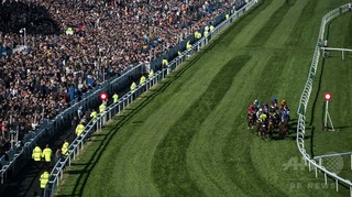 英競馬で出走予定外の馬が勝利、オッズ51倍 英競馬で出走予定外の馬が勝利、オッズ51倍