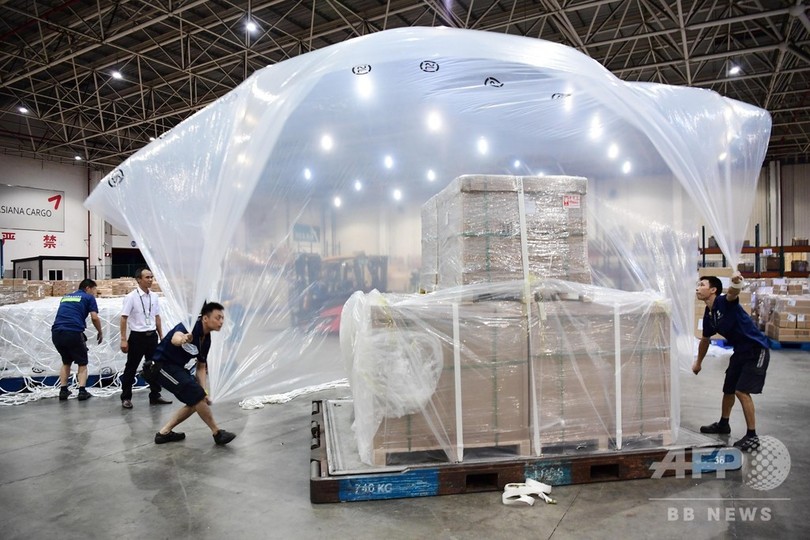 深センからチェンナイへ専用便 中国製造業の海外進出を後方支援 深センからチェンナイへ専用便 中国製造業の海外進出を後方支援