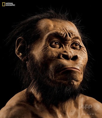 新種のヒト属の化石、南アの洞窟で発見 新種のヒト属の化石、南アの洞窟で発見