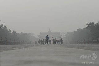 大気汚染で精子が小さく、研究で確認 疑問視する専門家も 大気汚染で精子が小さく、研究で確認 疑問視する専門家も