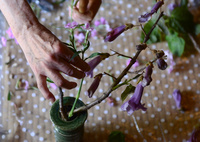 【写真特集】気鋭の緊縛師、「一鬼のこ」の世界ができるまで 東京