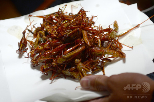 動画:コオロギやゴキブリが食材に、昆虫食伝道師の鍋パーティー 動画:コオロギやゴキブリが食材に、昆虫食伝道師の鍋パーティー