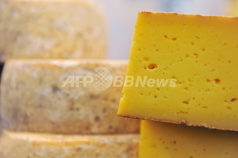 7000年前にチーズ作り、土器に証拠発見 ネイチャー 7000年前にチーズ作り、土器に証拠発見 ネイチャー