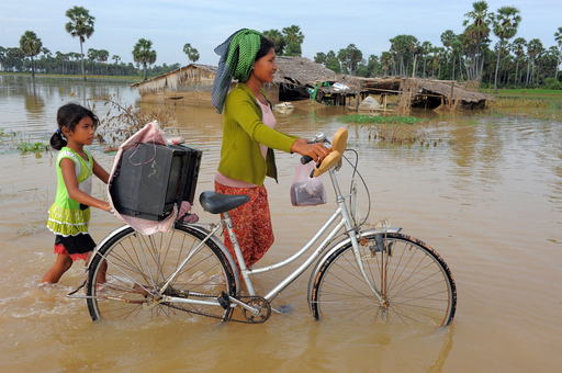 東南アジアの洪水、カンボジアの田畑にも被害