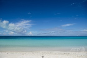 海水の酸素量、過去55年で2%減少 研究 海水の酸素量、過去55年で2%減少 研究