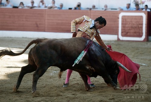 スペインの人気闘牛士、牛に角で刺されて死亡 フランス スペインの人気闘牛士、牛に角で刺されて死亡 フランス