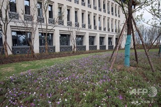 辛い料理、たばこ、化粧は禁止 中国・四川の「白酒学校」 辛い料理、たばこ、化粧は禁止 中国・四川の「白酒学校」