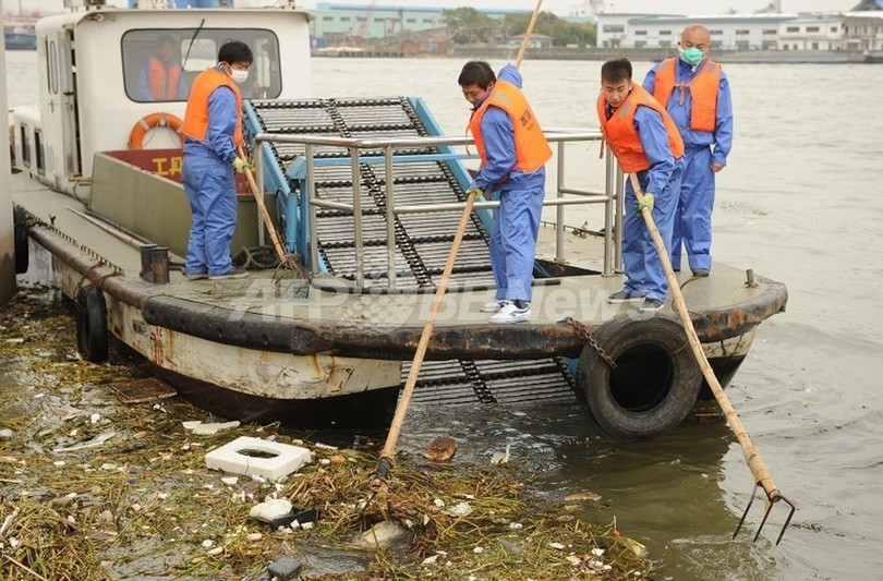 上海ブタ大量死、「回収おおむね完了」 死骸1万6000匹超す 上海ブタ大量死、「回収おおむね完了」 死骸1万6000匹超す
