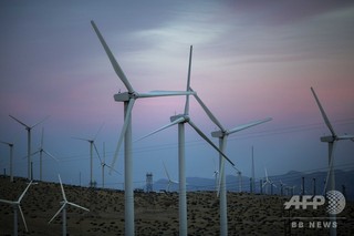 生態系を乱す風力発電所の「天敵」効果、国際研究 生態系を乱す風力発電所の「天敵」効果、国際研究