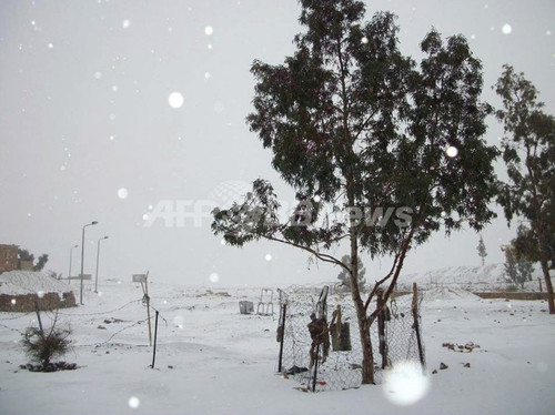 エジプトに雪、中東に「冬の嵐」 エジプトに雪、中東に「冬の嵐」