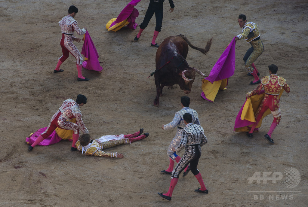 スペインで闘牛士が牛に突かれて死亡、観客の目前で スペインで闘牛士が牛に突かれて死亡、観客の目前で