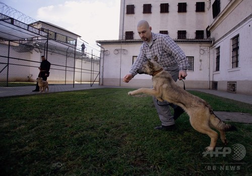 囚人と捨て犬が助け合う、ハンガリーの刑務所 囚人と捨て犬が助け合う、ハンガリーの刑務所