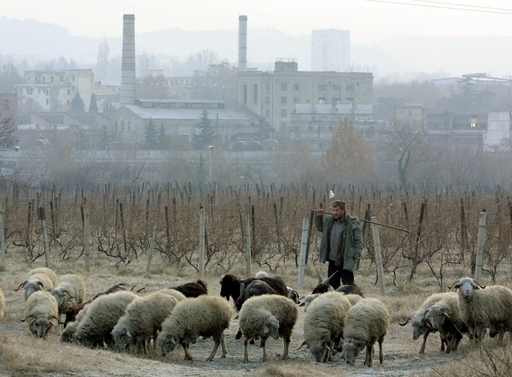 ヒツジ600匹と羊飼いが蒸発のミステリー、グルジア