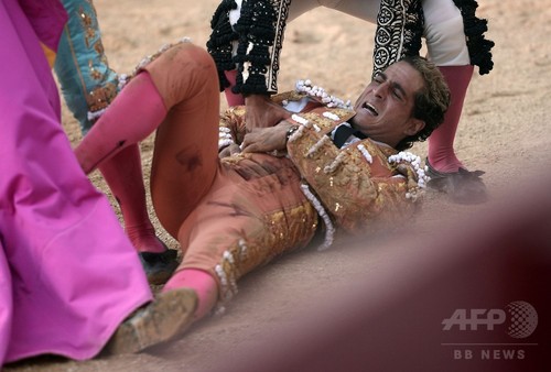 スペインの人気闘牛士、牛に角で刺されて死亡 フランス スペインの人気闘牛士、牛に角で刺されて死亡 フランス