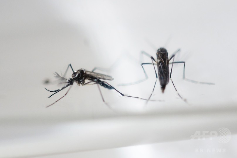 中国、初のジカ熱患者を確認 ベネズエラから帰国の男性 中国、初のジカ熱患者を確認 ベネズエラから帰国の男性