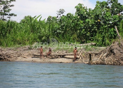 アマゾン森林地帯に未接触部族、ペルー政府が近づかないよう勧告 アマゾン森林地帯に未接触部族、ペルー政府が近づかないよう勧告