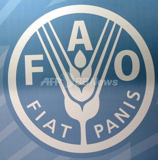 FAOの食料価格指数、8か月連続上昇 最高値更新 FAOの食料価格指数、8か月連続上昇 最高値更新