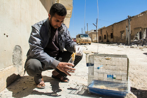 シリア化学兵器疑惑は「信用できる」 OPCWが初期見解 シリア化学兵器疑惑は「信用できる」 OPCWが初期見解