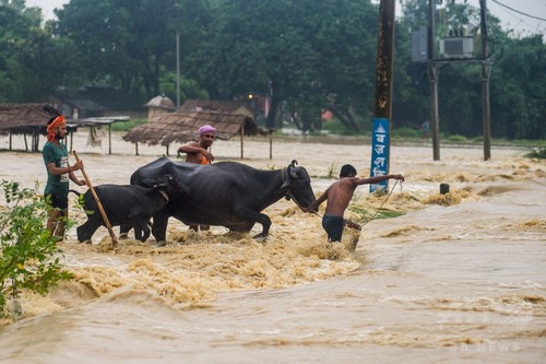 ネパールとインドで洪水や地滑り、94人死亡 モンスーン被害拡大 ネパールとインドで洪水や地滑り、94人死亡 モンスーン被害拡大