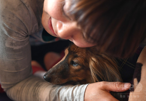 犬や猫と楽しむヨガ教室 首都圏で人気じわり 犬や猫と楽しむヨガ教室 首都圏で人気じわり