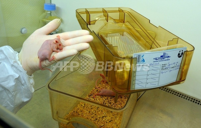前立腺がんの診断・治療に効果が期待される抗体を発見、米研究チーム 前立腺がんの診断・治療に効果が期待される抗体を発見、米研究チーム