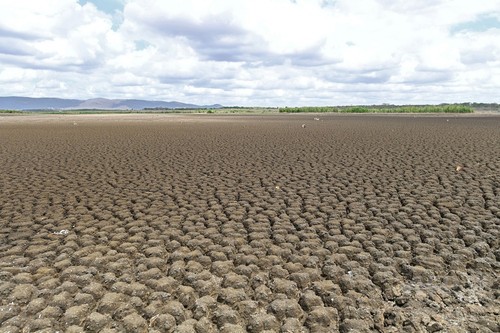 100年で最悪の干ばつ、ブラジル北東部で深刻な水不足 100年で最悪の干ばつ、ブラジル北東部で深刻な水不足