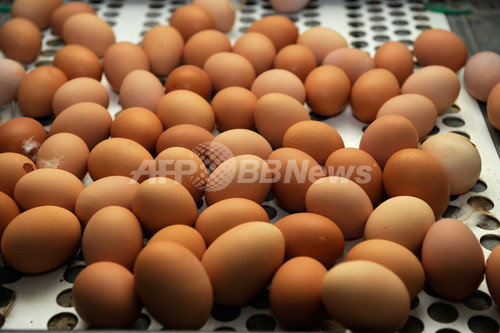 フランスで深刻な卵不足、新EU規定に菓子メーカーら悲鳴 フランスで深刻な卵不足、新EU規定に菓子メーカーら悲鳴