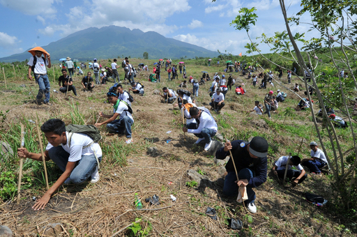 7000人で一斉植林、ギネス記録更新 フィリピン