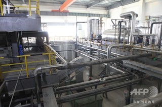 ゴキブリ3億匹が15トンの生ごみ処理、衛生面には懸念の声も 山東省 ゴキブリ3億匹が15トンの生ごみ処理、衛生面には懸念の声も 山東省