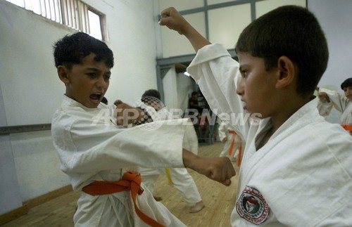 空手パンチの決め手は「腕力」ではなく「脳力」、英研究