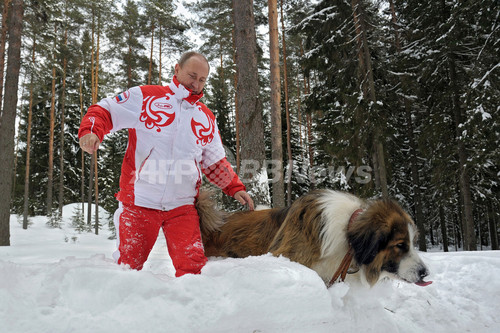 秋田犬「ゆめ」と戯れるプーチン大統領、ロシア