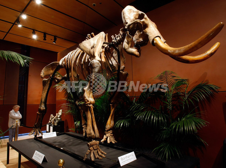 遺伝子工学でドードーが復活?絶滅生物の再生をめぐる是非 遺伝子工学でドードーが復活?絶滅生物の再生をめぐる是非
