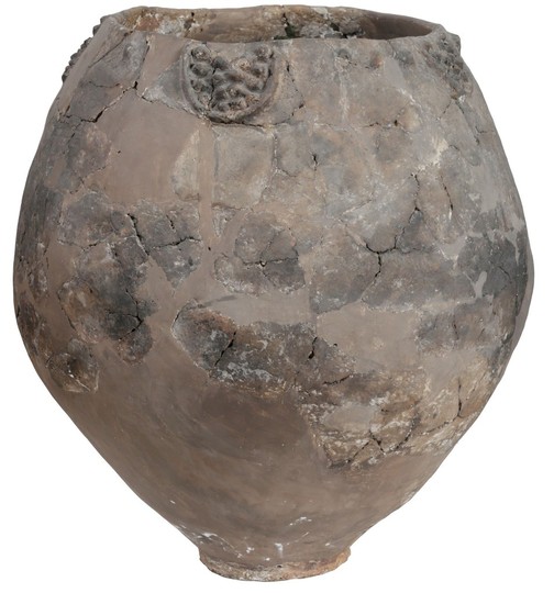 世界最古のワイン醸造痕跡見つかる ジョージア、8000年前 世界最古のワイン醸造痕跡見つかる ジョージア、8000年前