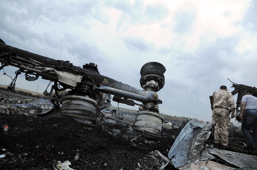 【写真特集】ウクライナのマレーシア機墜落現場