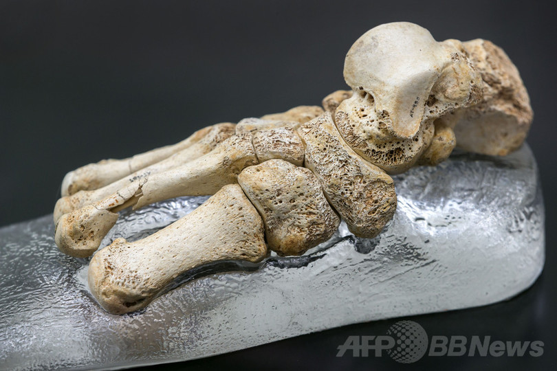 80万年前の古代人の足跡、英国で発見 研究 80万年前の古代人の足跡、英国で発見 研究