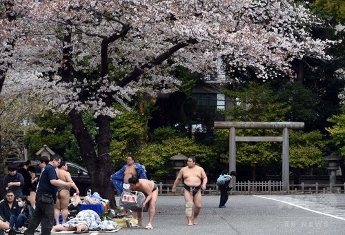 靖国神社で奉納大相撲、白鵬と日馬富士が土俵入り披露