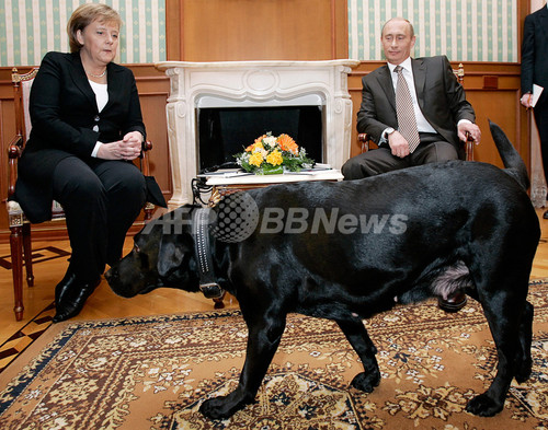 プーチン大統領、愛犬にロシア版GPS首輪の購入切望 プーチン大統領、愛犬にロシア版GPS首輪の購入切望