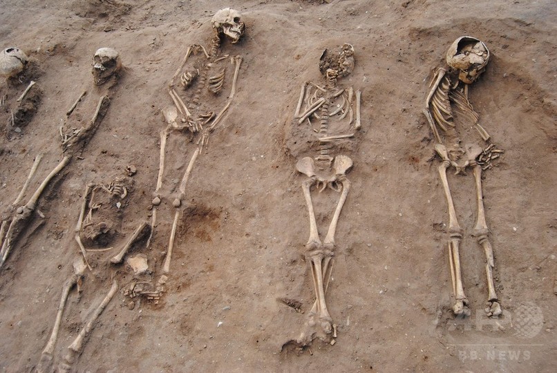 黒死病犠牲者の共同墓地、中世の修道院で発見 英 黒死病犠牲者の共同墓地、中世の修道院で発見 英