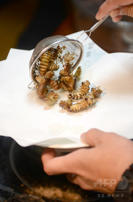 動画:コオロギやゴキブリが食材に、昆虫食伝道師の鍋パーティー 動画:コオロギやゴキブリが食材に、昆虫食伝道師の鍋パーティー