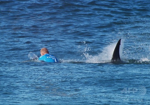 南海の死闘、有力プロサーファーをサメが襲う 南アフリカ 南海の死闘、有力プロサーファーをサメが襲う 南アフリカ