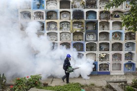 10人のジカウイルス感染を確認、ドミニカ共和国 10人のジカウイルス感染を確認、ドミニカ共和国