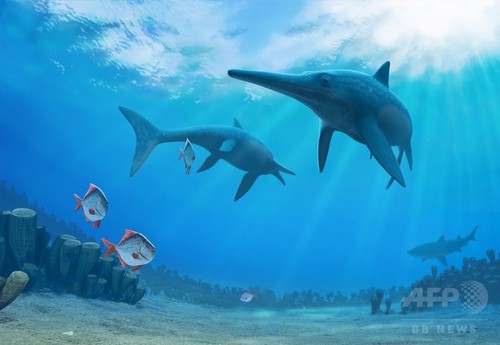 魚竜の絶滅、気候変動が原因か 研究 魚竜の絶滅、気候変動が原因か 研究