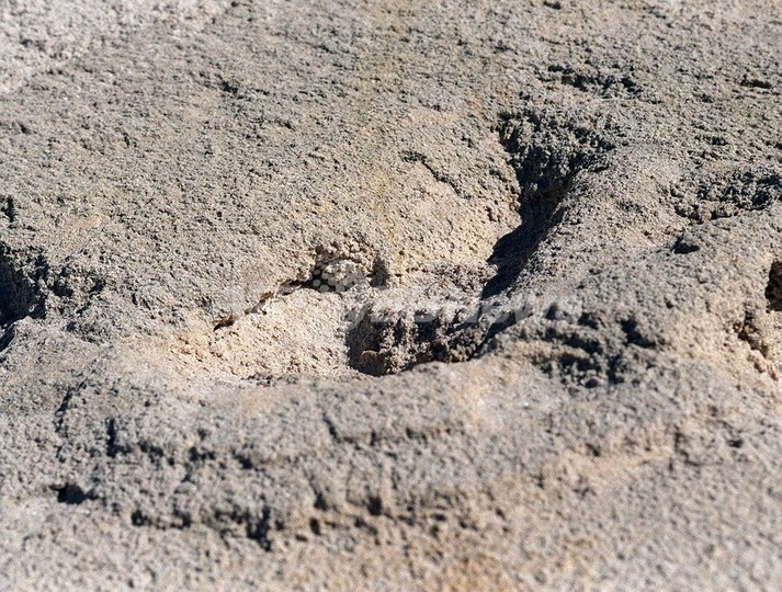 人類は少人数の群れに分かれて10万年を過ごした、厳しい干ばつが一因か 人類は少人数の群れに分かれて10万年を過ごした、厳しい干ばつが一因か