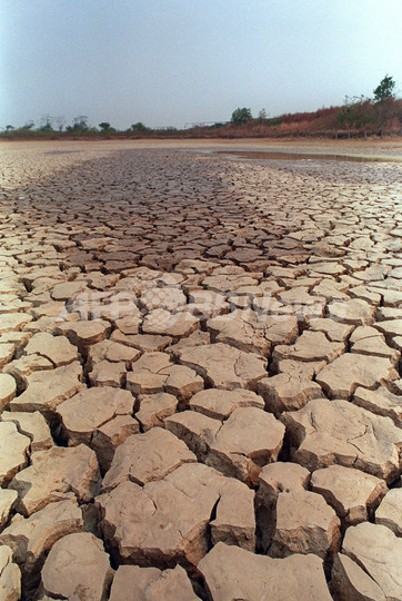 ブラジル北東部で50年ぶり大干ばつ、水争いで1日1人死亡 ブラジル北東部で50年ぶり大干ばつ、水争いで1日1人死亡