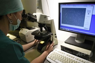 欧米男性の精子数、40年で半減か 研究 欧米男性の精子数、40年で半減か 研究